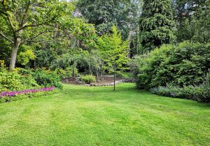 Optimiser l'expérience du jardin à Sainte-Julie