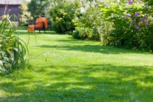 travaux jardin et paysage Sainte-Julie